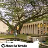  Museo La Tertulia de Cali