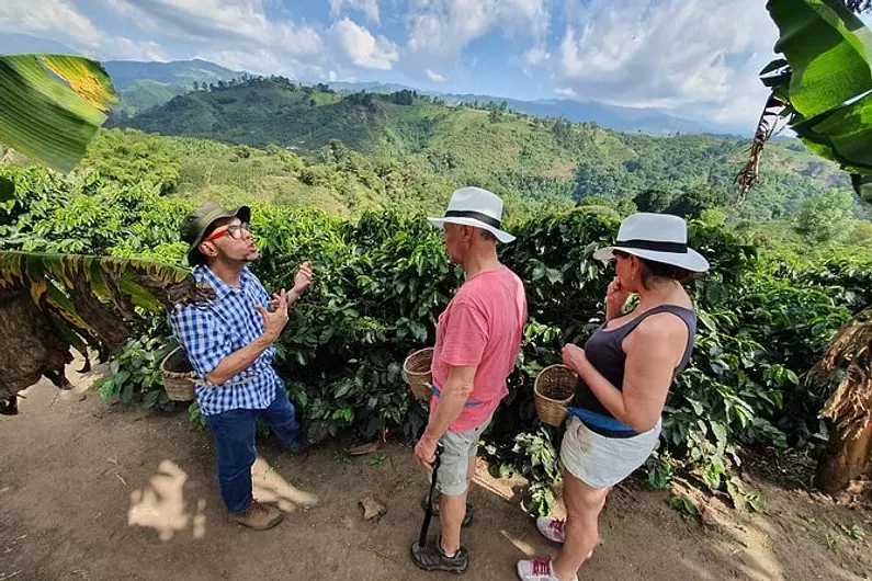 Tour valle del cocora y fincas cafeteras