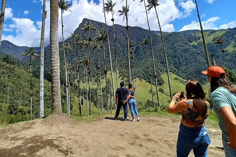 Tour valle del cocora y fincas cafeteras