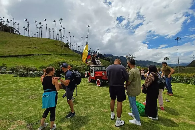 Tour valle del cocora y fincas cafeteras