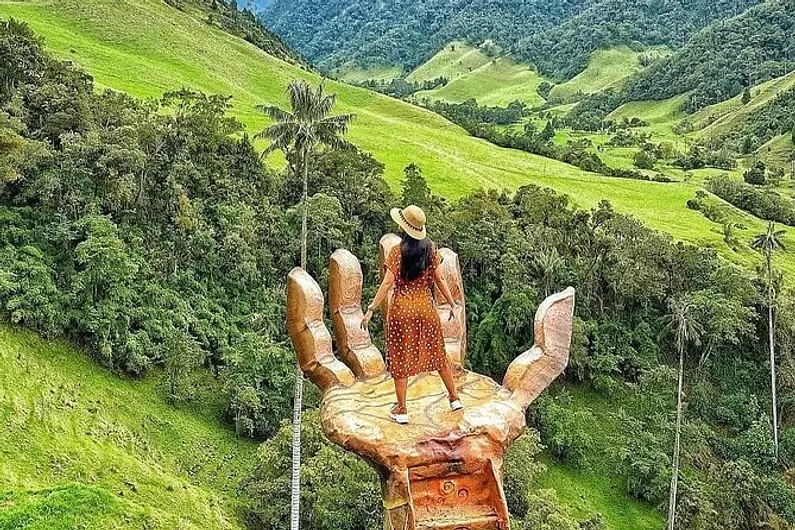 Tour valle del cocora y fincas cafeteras