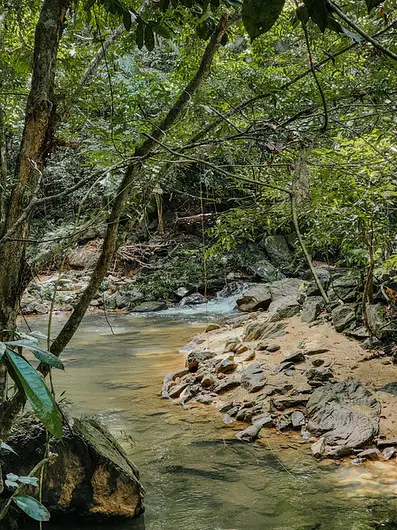 Hotel Piedra Mulata