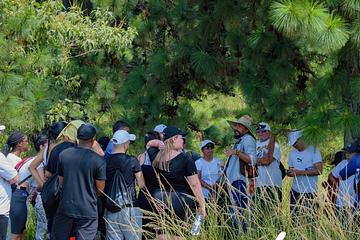 Explora, Conecta y Vive: Caminata Inolvidable Yarumal