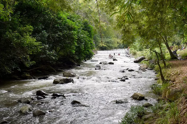 Explora, Conecta y Vive: Caminata Inolvidable Yarumal