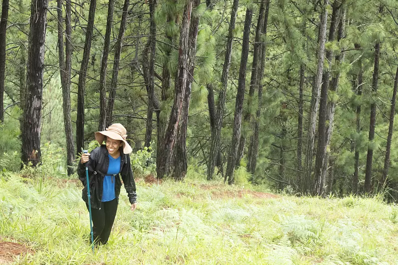 CAMINATAS JOROBAS DEL CAMELLO EN CALI