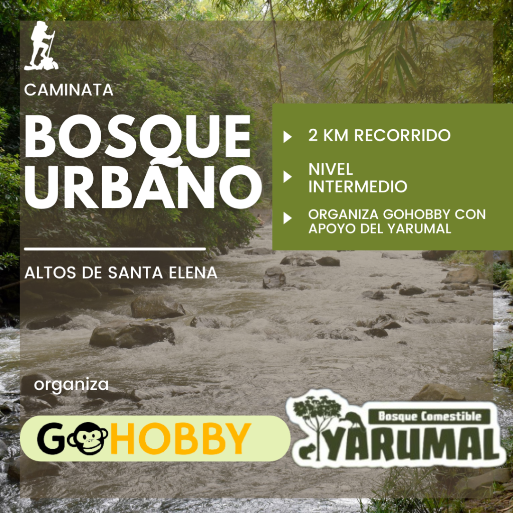 Caminata Gohobby